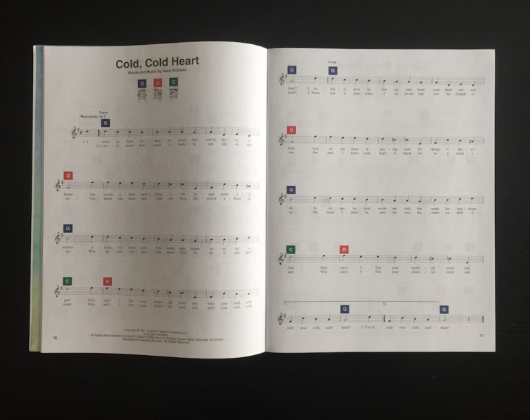 Unbiased Chord Buddy Review (Guitar Chord Learning System)