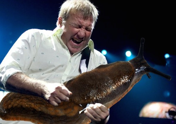 alex lifeson snail