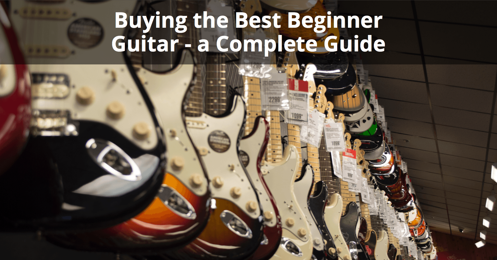 15 Best Guitars for Beginners In 2022 (Acoustic & Electric)