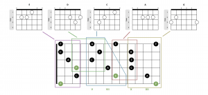 Caged System Diagram